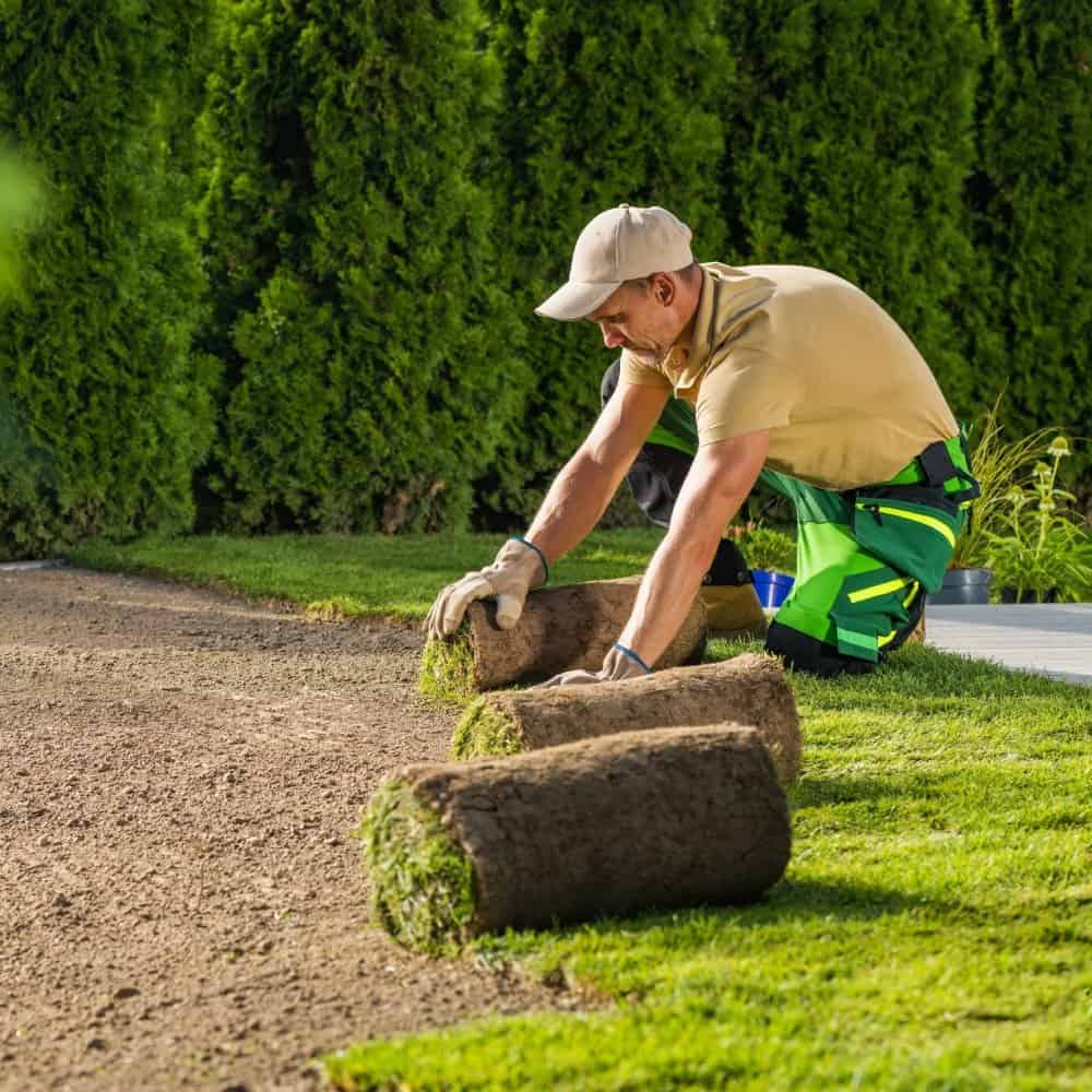 Landscaping Insurance Minnesota