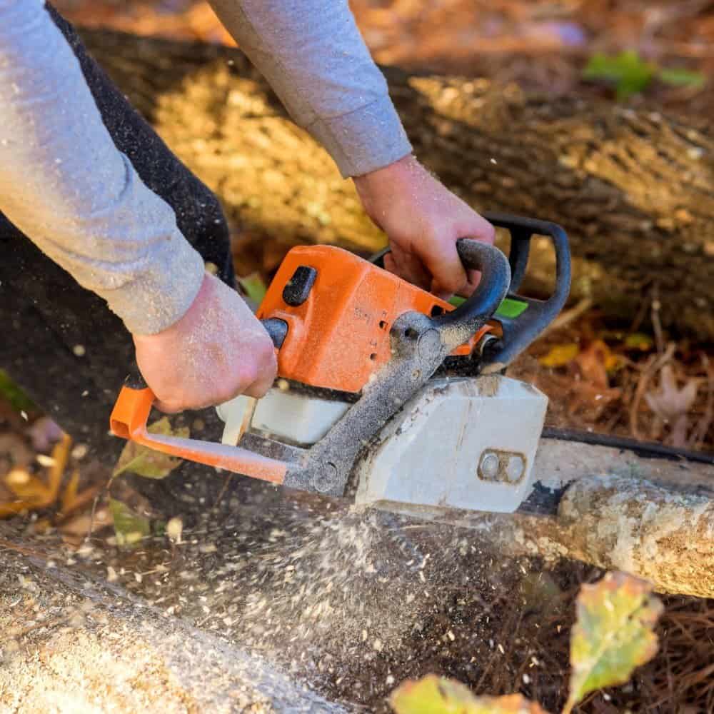 Arborist Insurance Minnesota