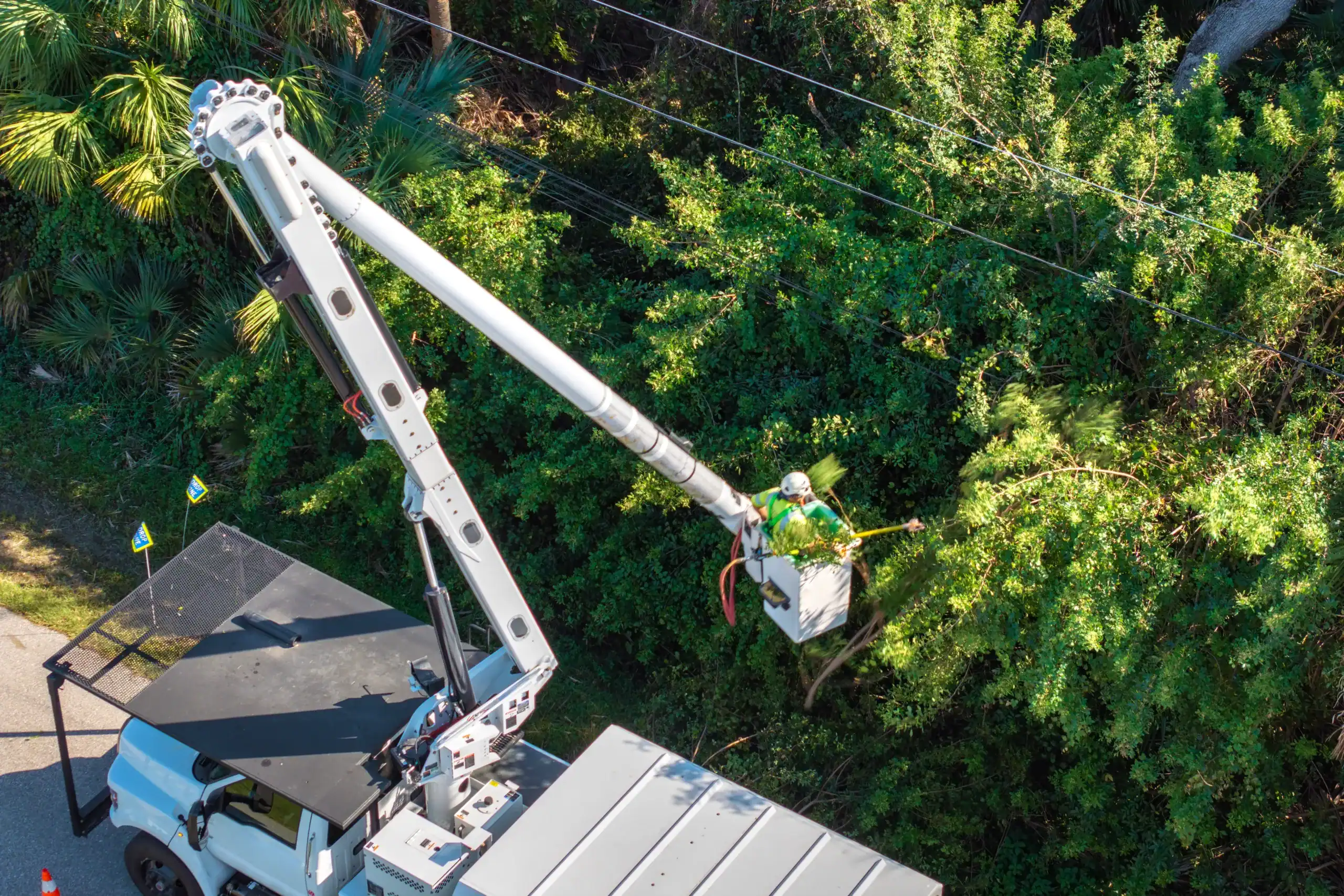 Arborist Insurance Minnesota