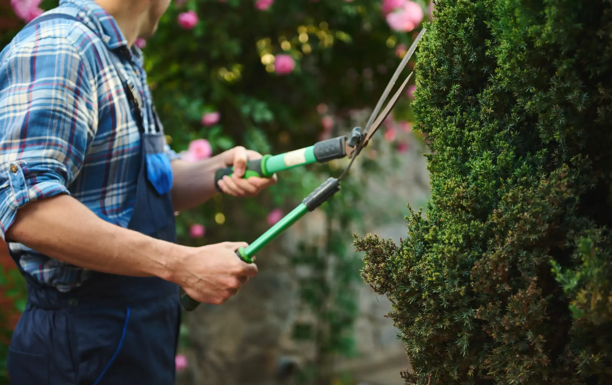 Landscaping Insurance Minnesota