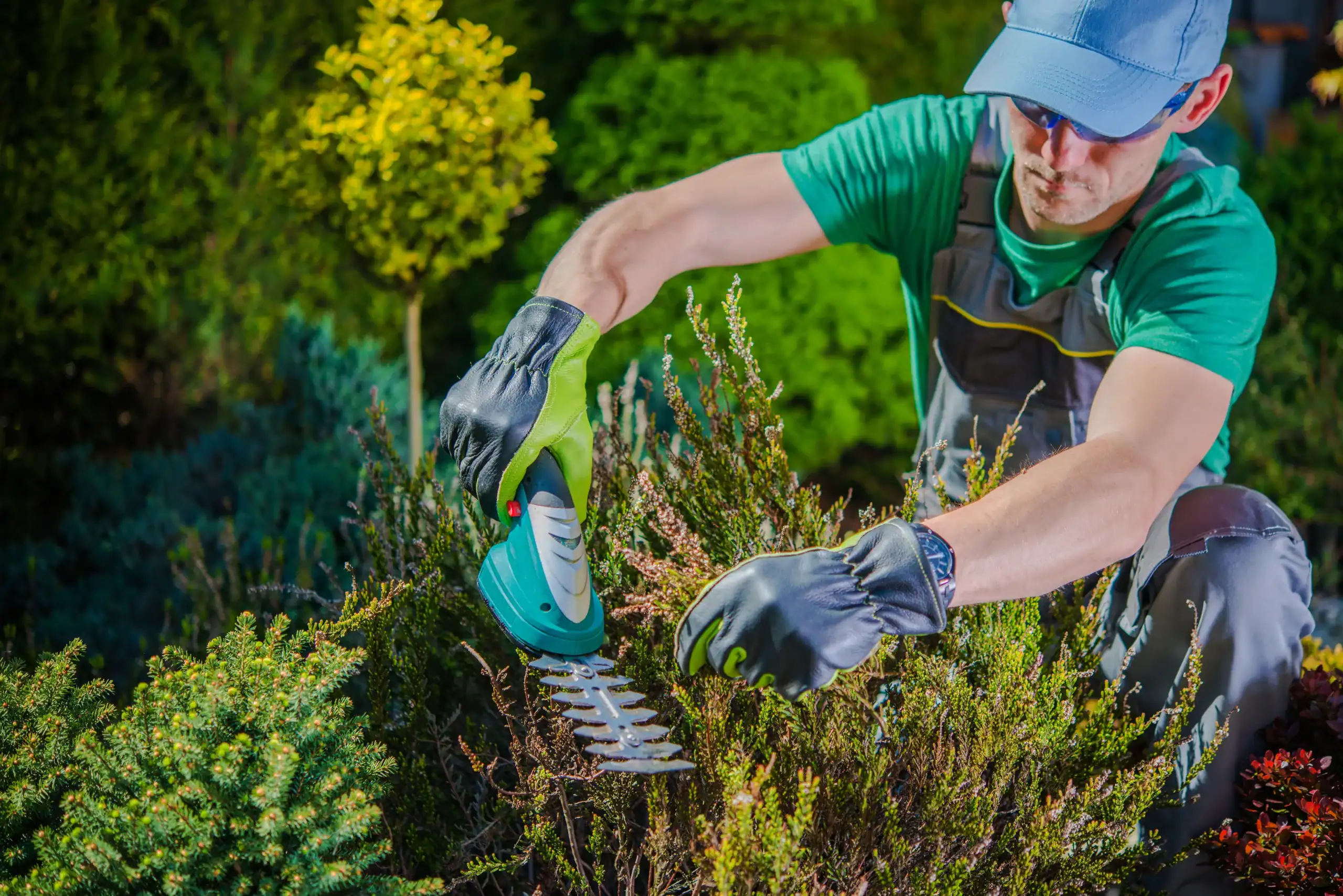 Landscaping Insurance Minnesota